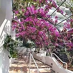Ponderosa Hotel *