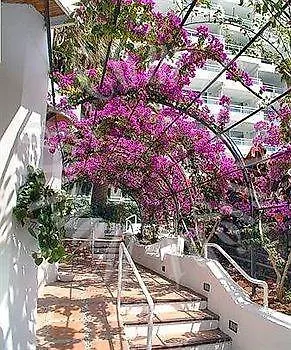 Ponderosa Hotel *
